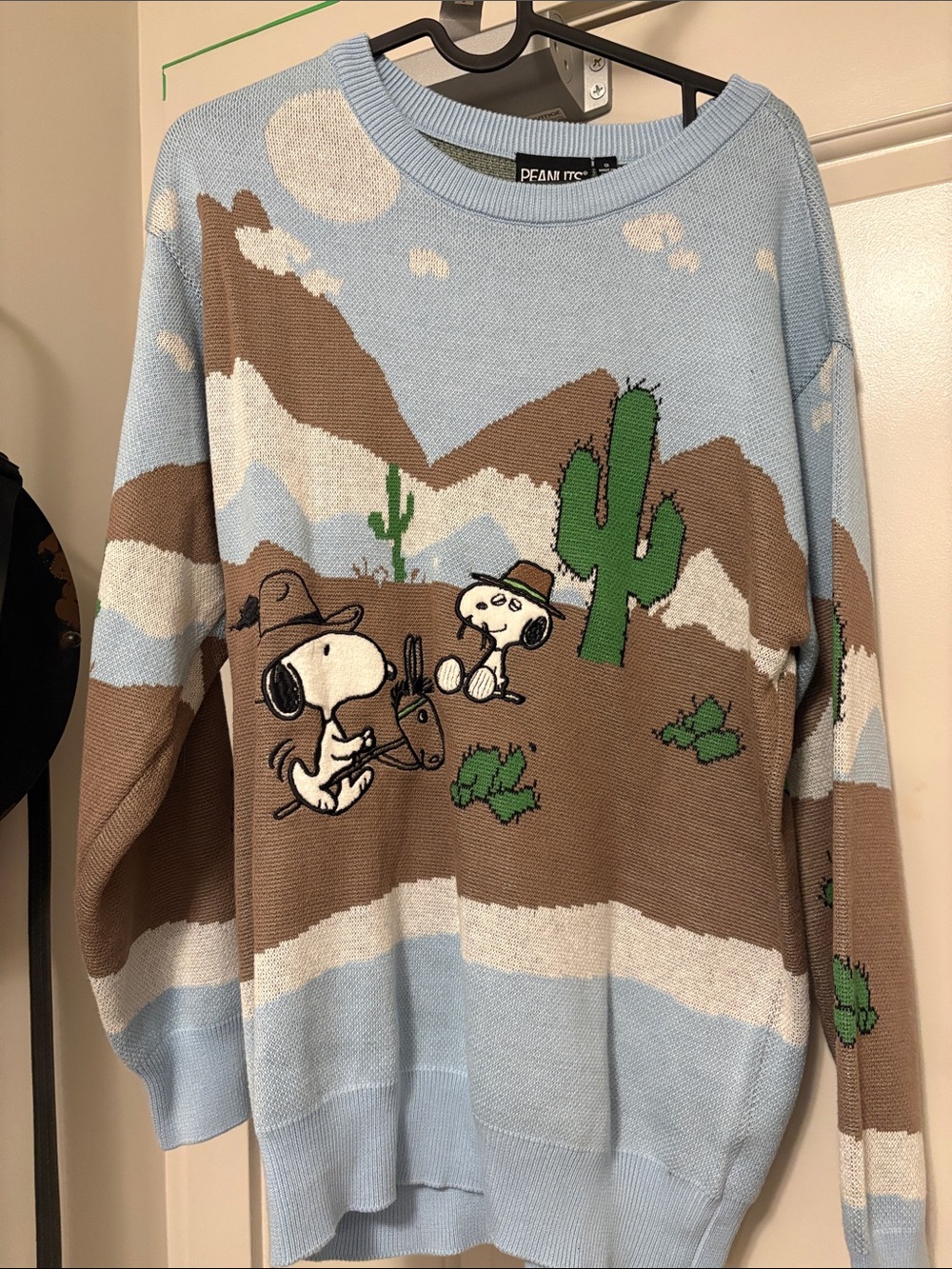 Peanuts Desert Graphic Crewneck Sweater - Light Blue, Brown & Green